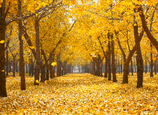 鋁合金門窗加盟 鋁合金門窗加盟